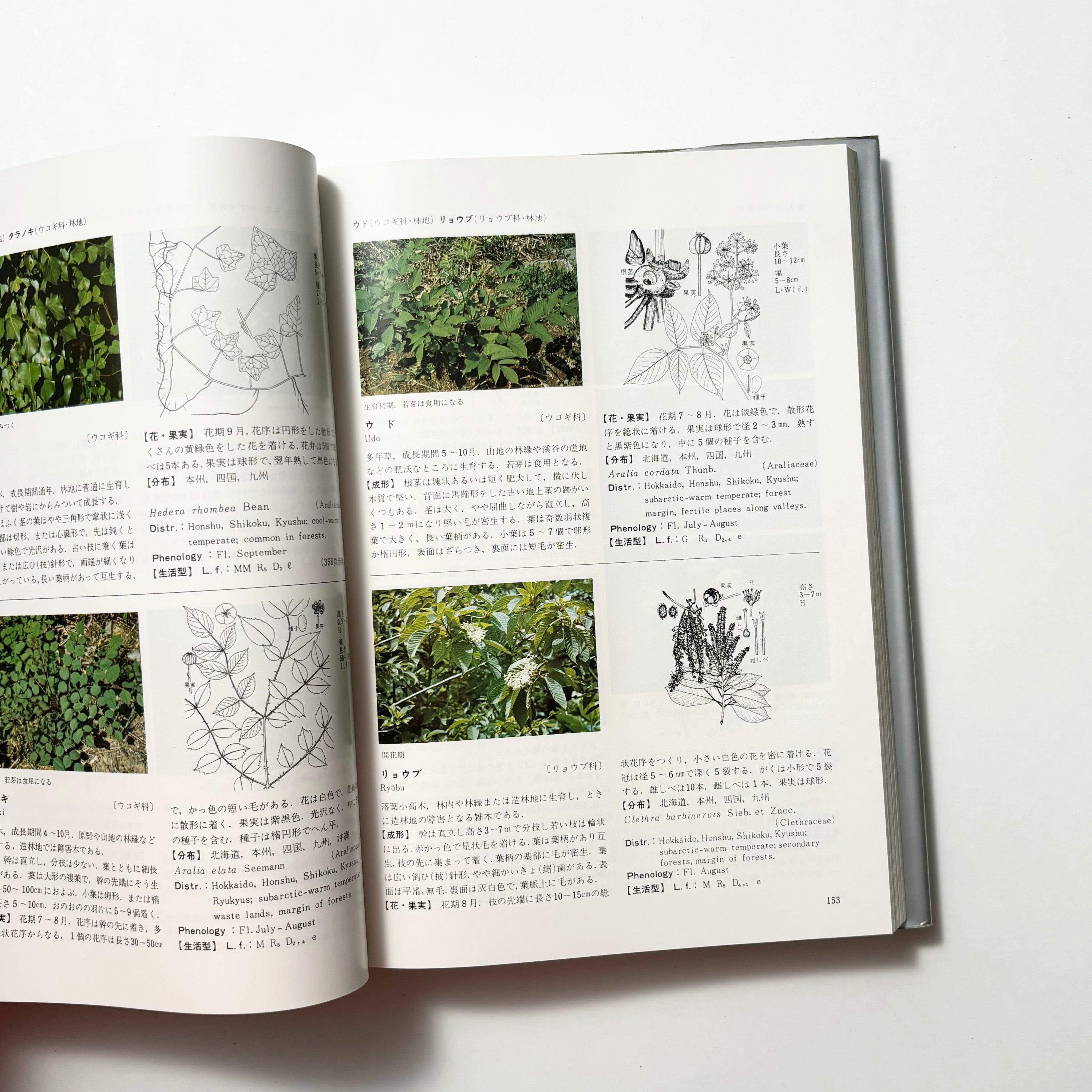 日本原色雑草図鑑／日本植物調節剤研究協会