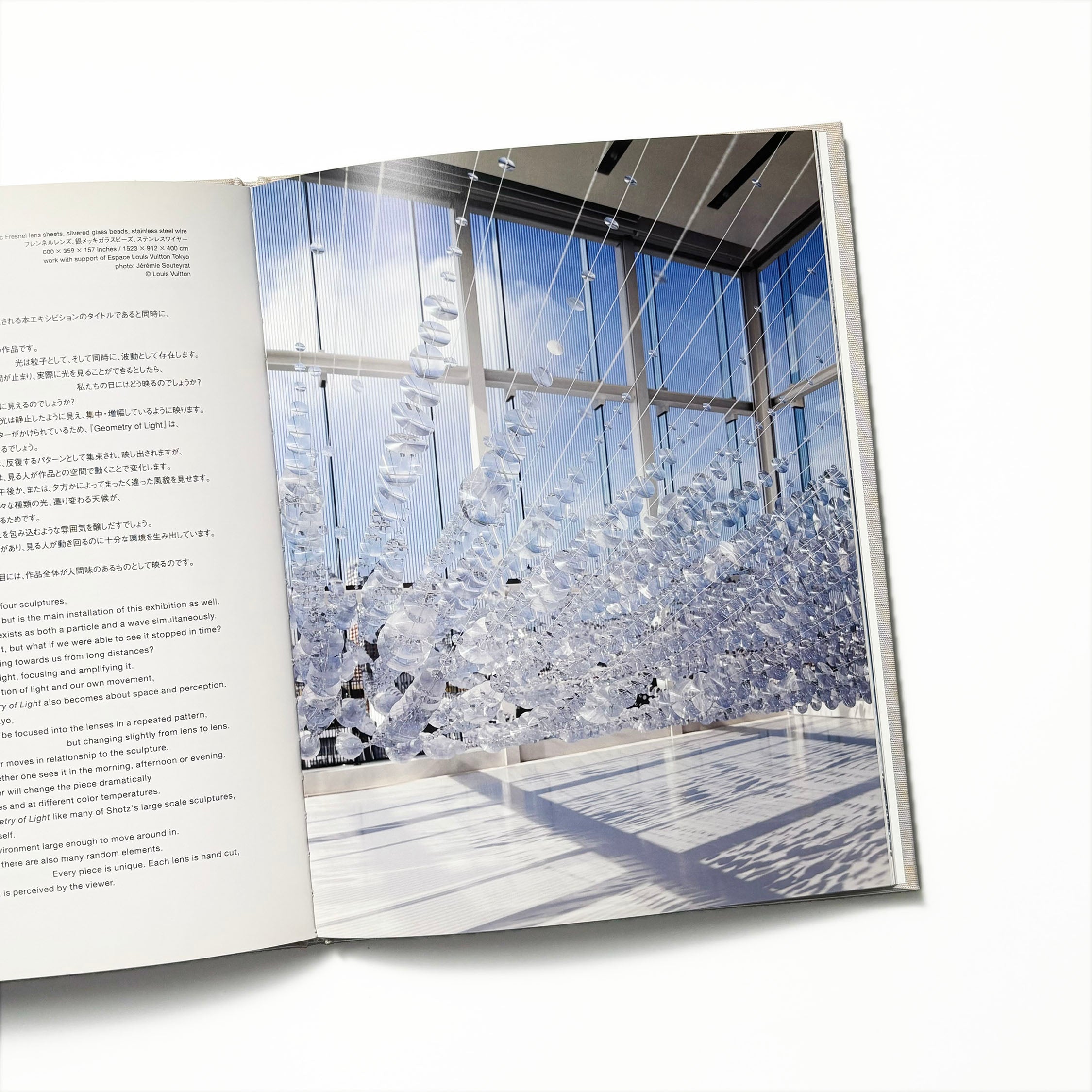 geometry of light alyson shotz／エスパス・ルイヴィトン東京