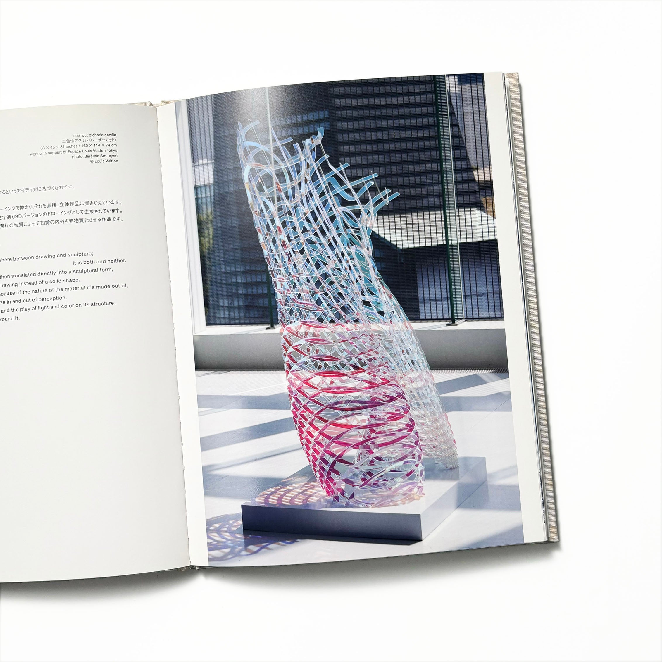 geometry of light alyson shotz／エスパス・ルイヴィトン東京