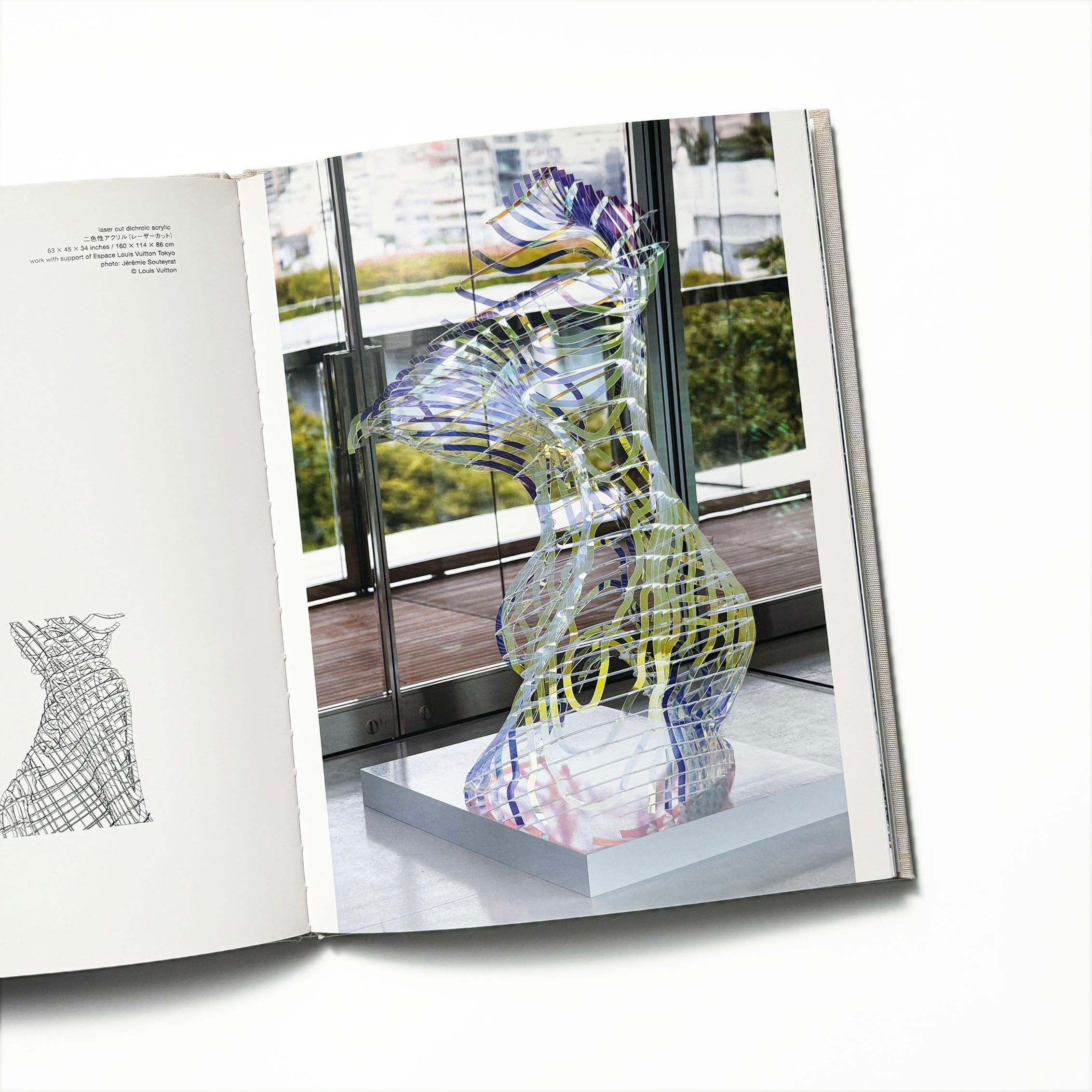 geometry of light alyson shotz／エスパス・ルイヴィトン東京
