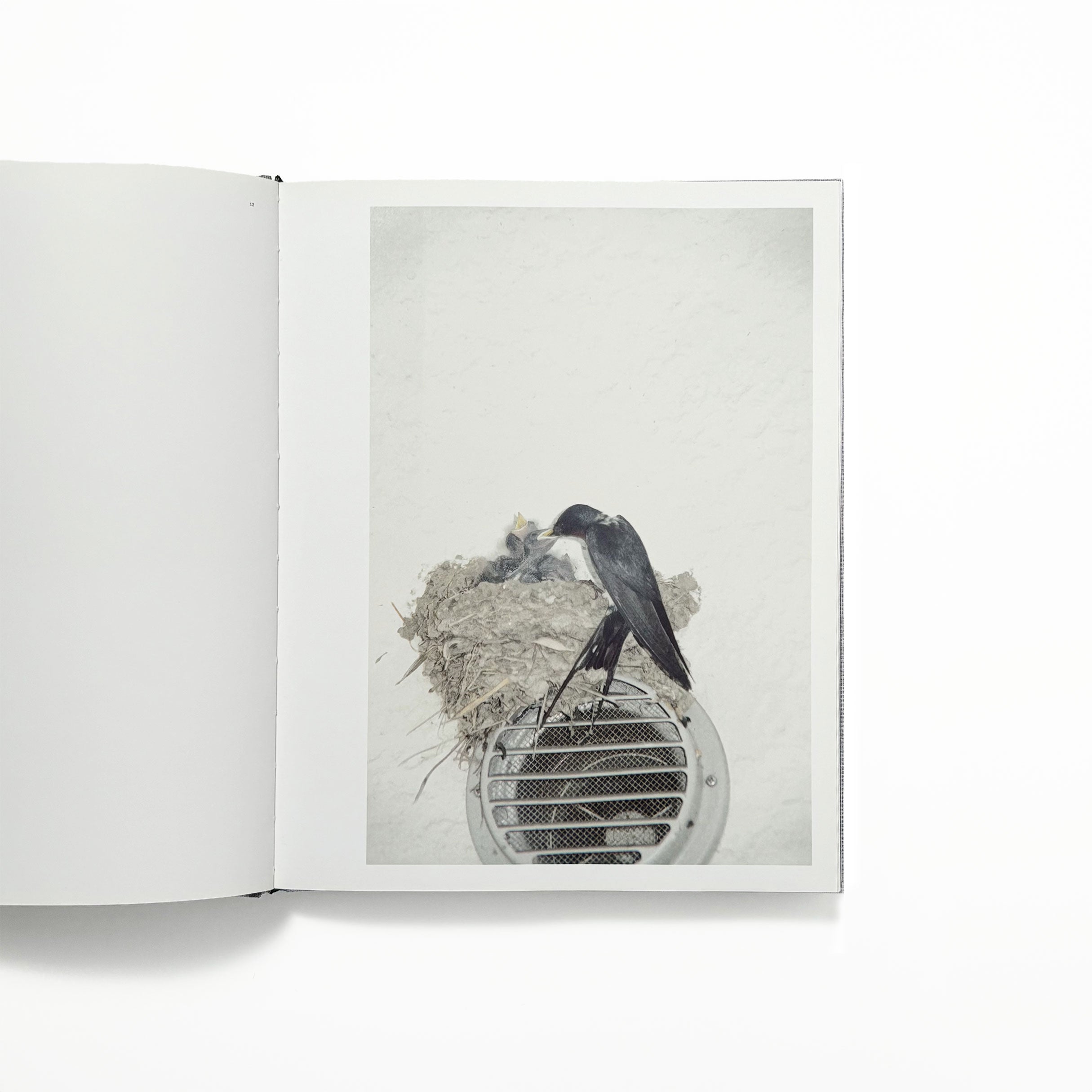 Des oiseaux／川内倫子