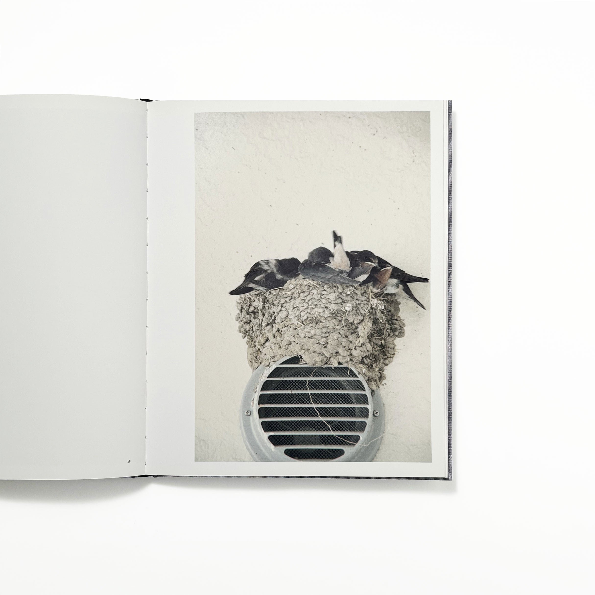 Des oiseaux／川内倫子