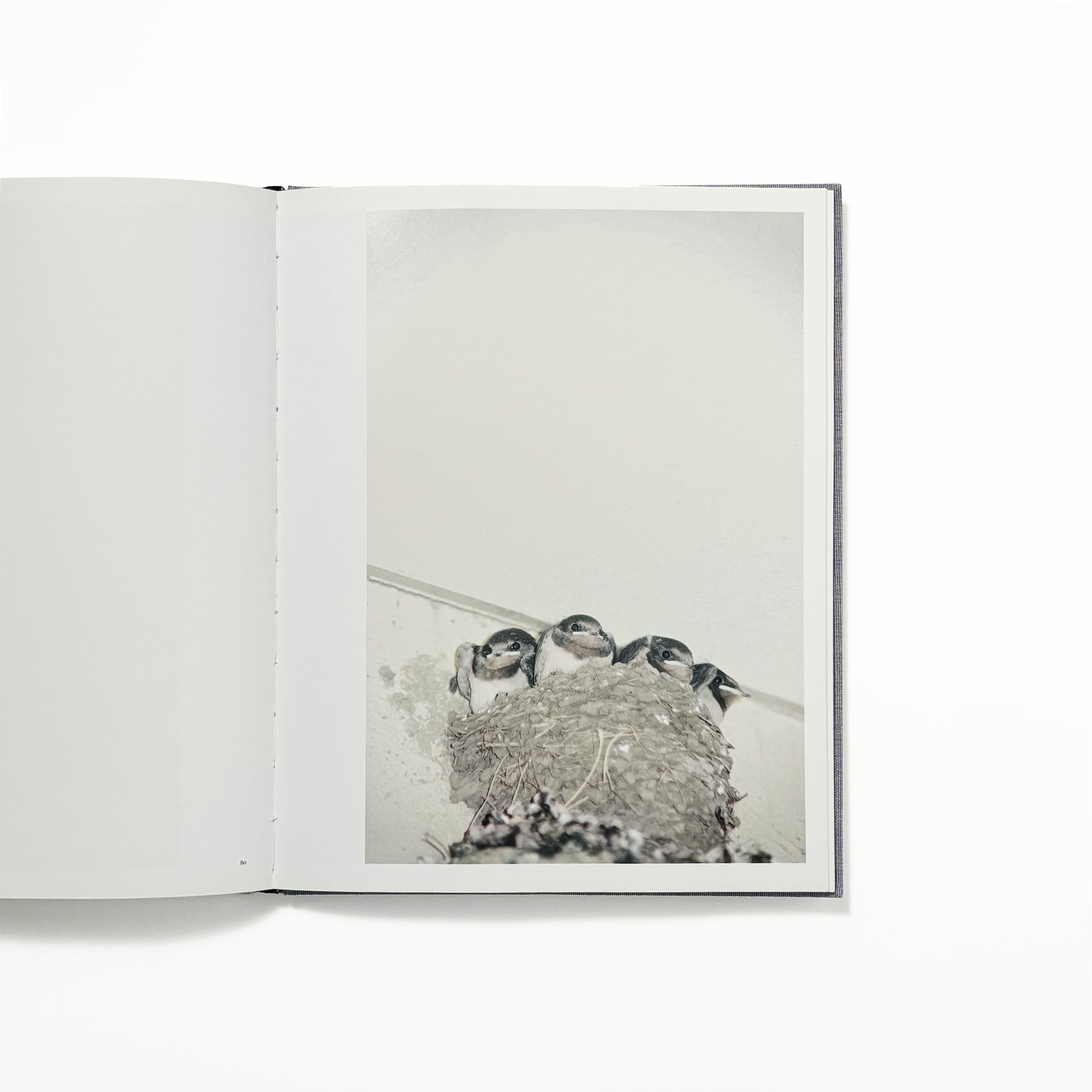 Des oiseaux／川内倫子