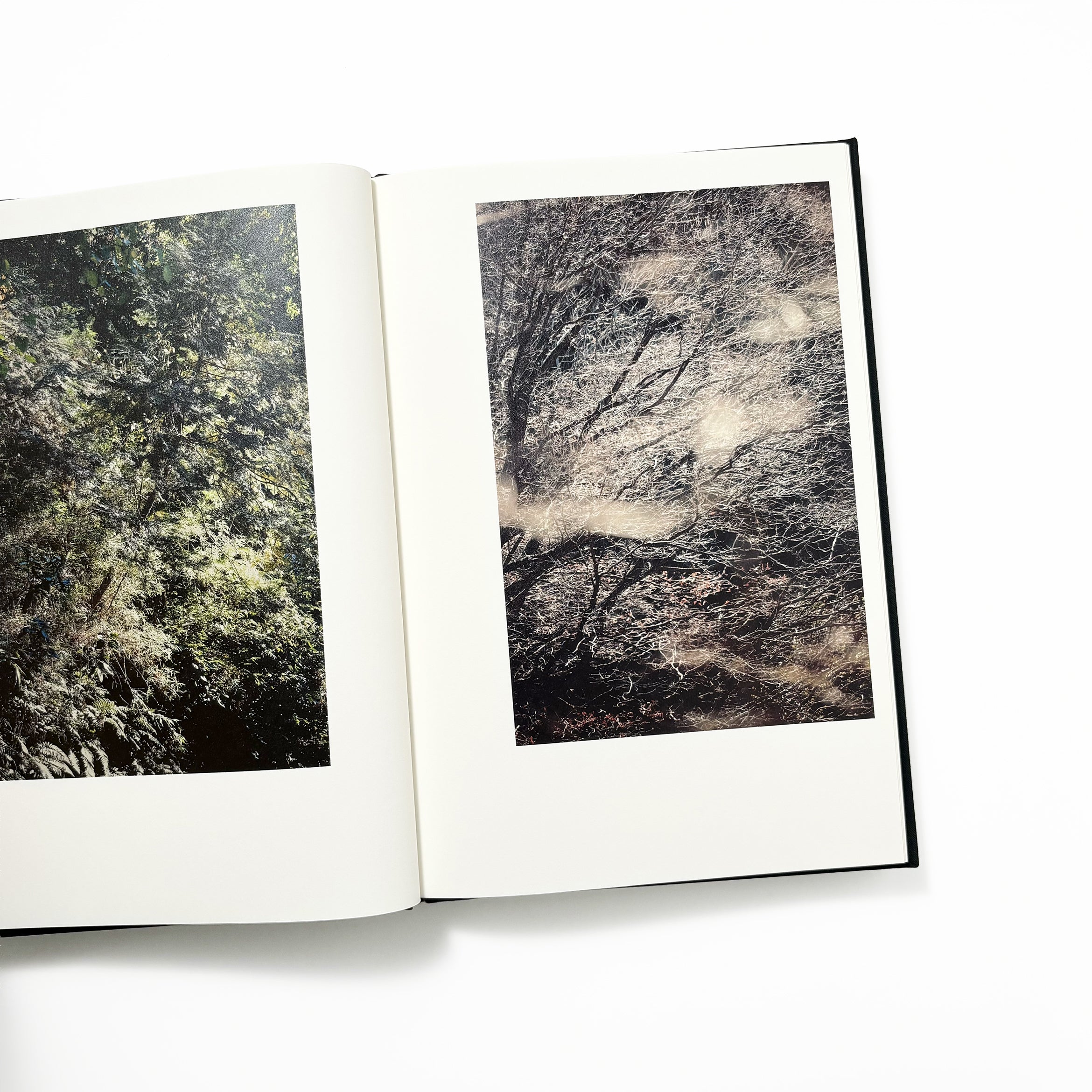 Helix／Shimpei Yamagami – tuii books
