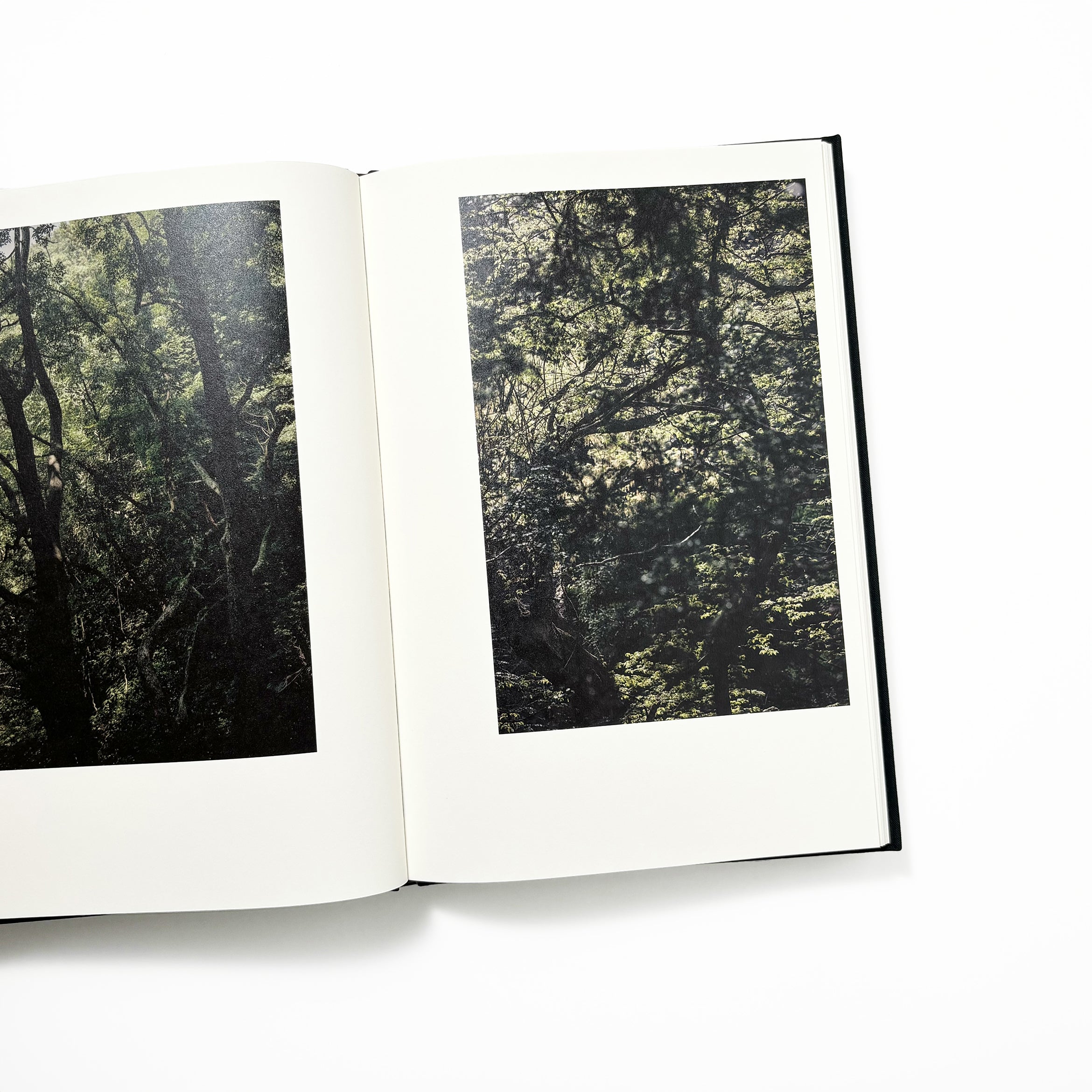 Helix／Shimpei Yamagami – tuii books