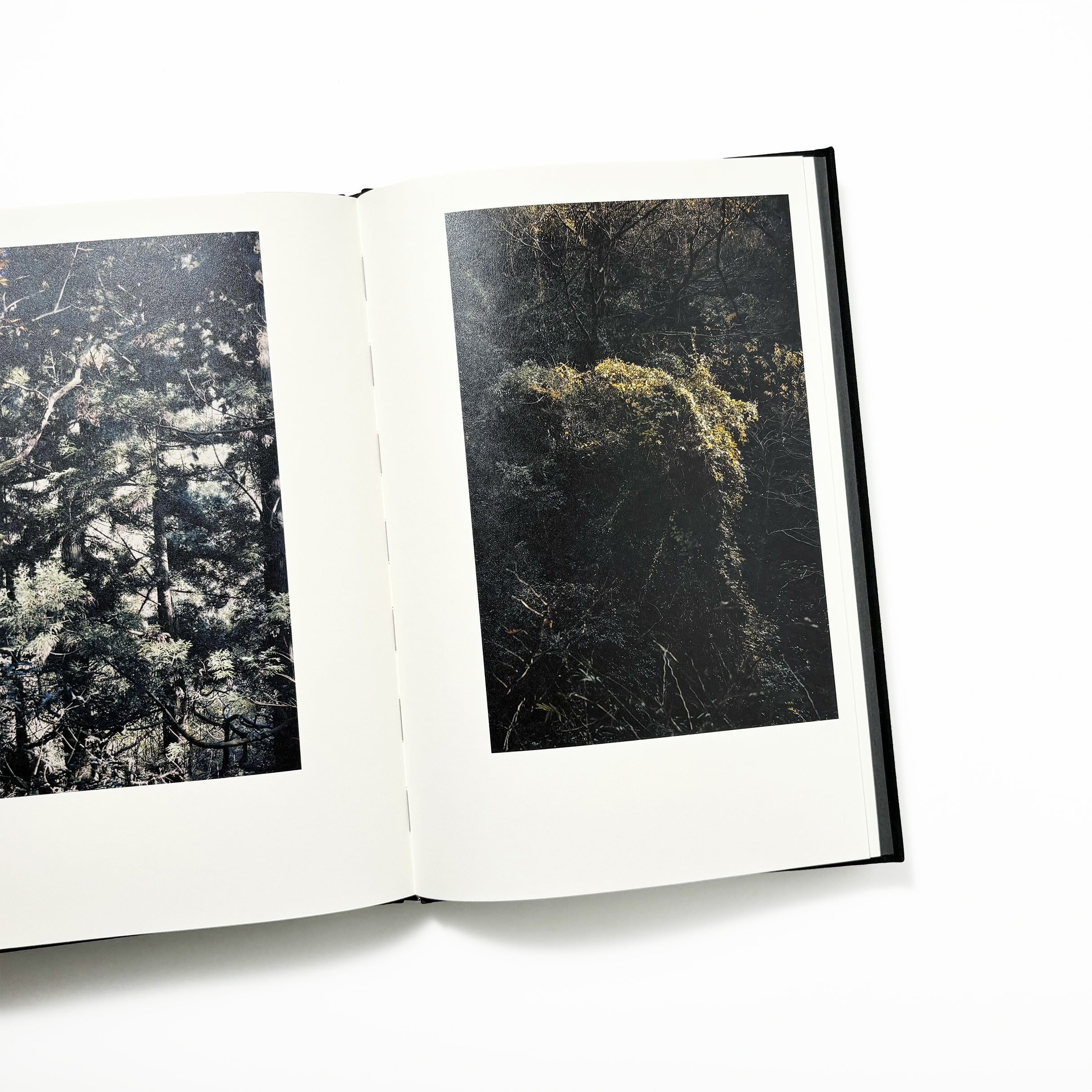 Helix／Shimpei Yamagami – tuii books