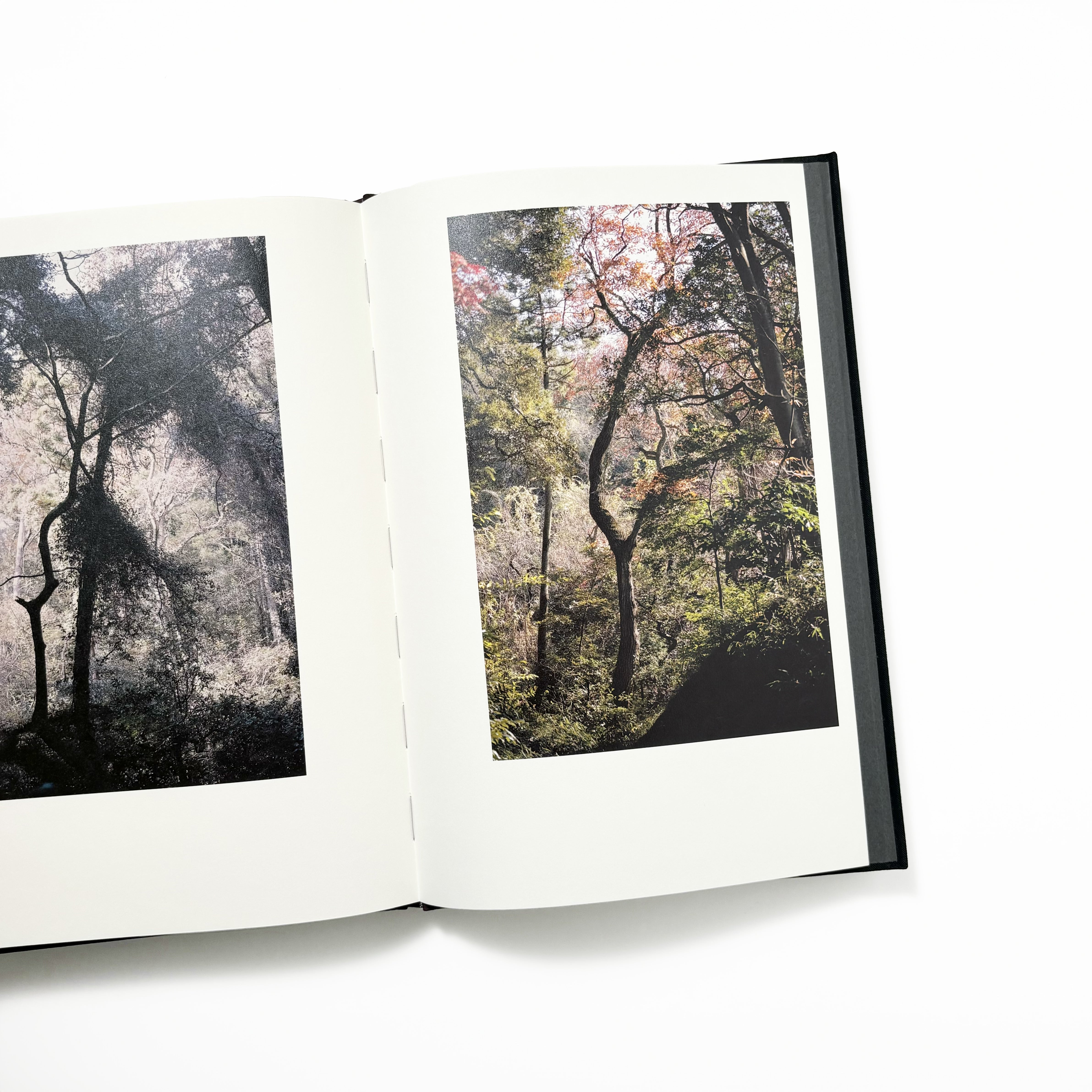 Helix／Shimpei Yamagami – tuii books