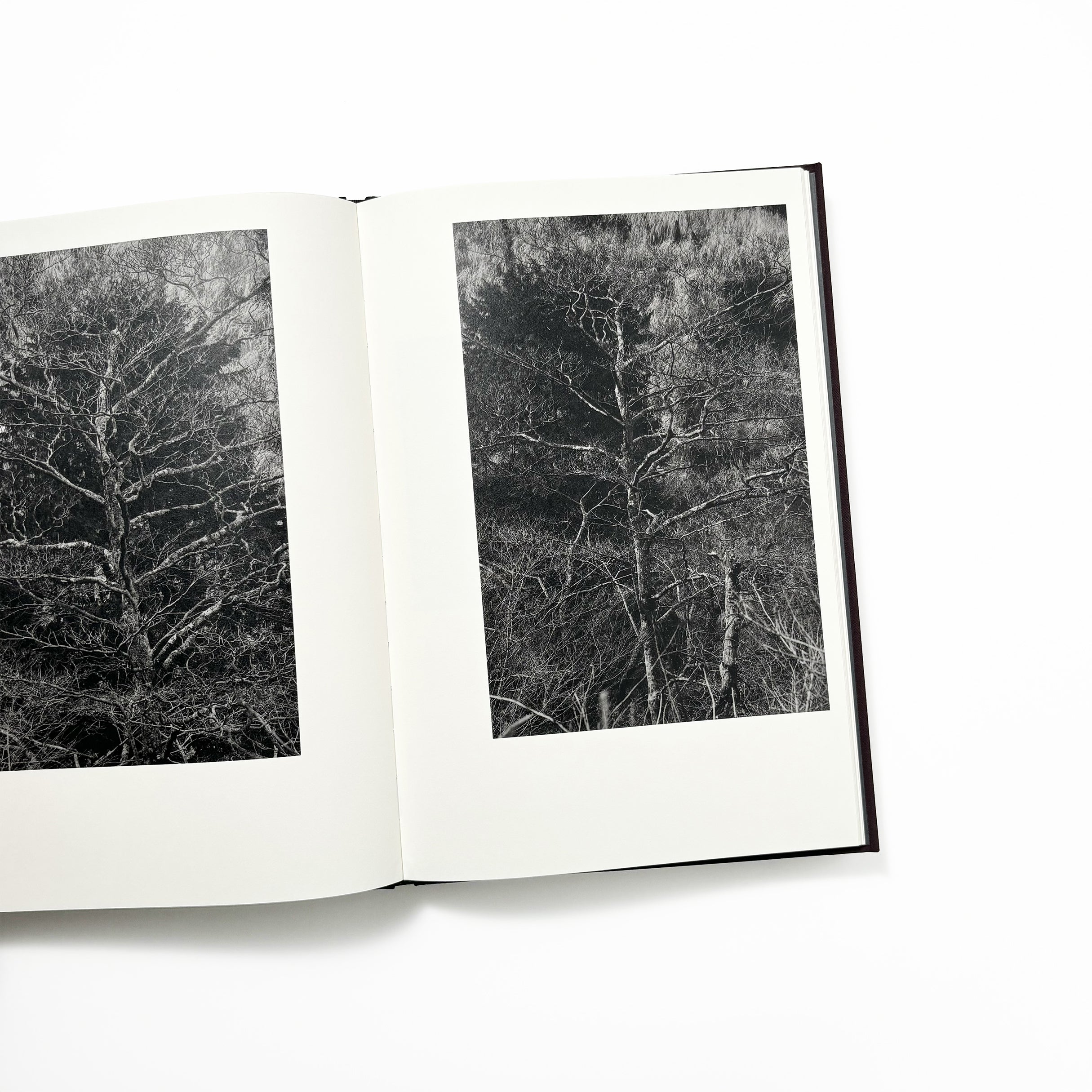 Helix／Shimpei Yamagami – tuii books