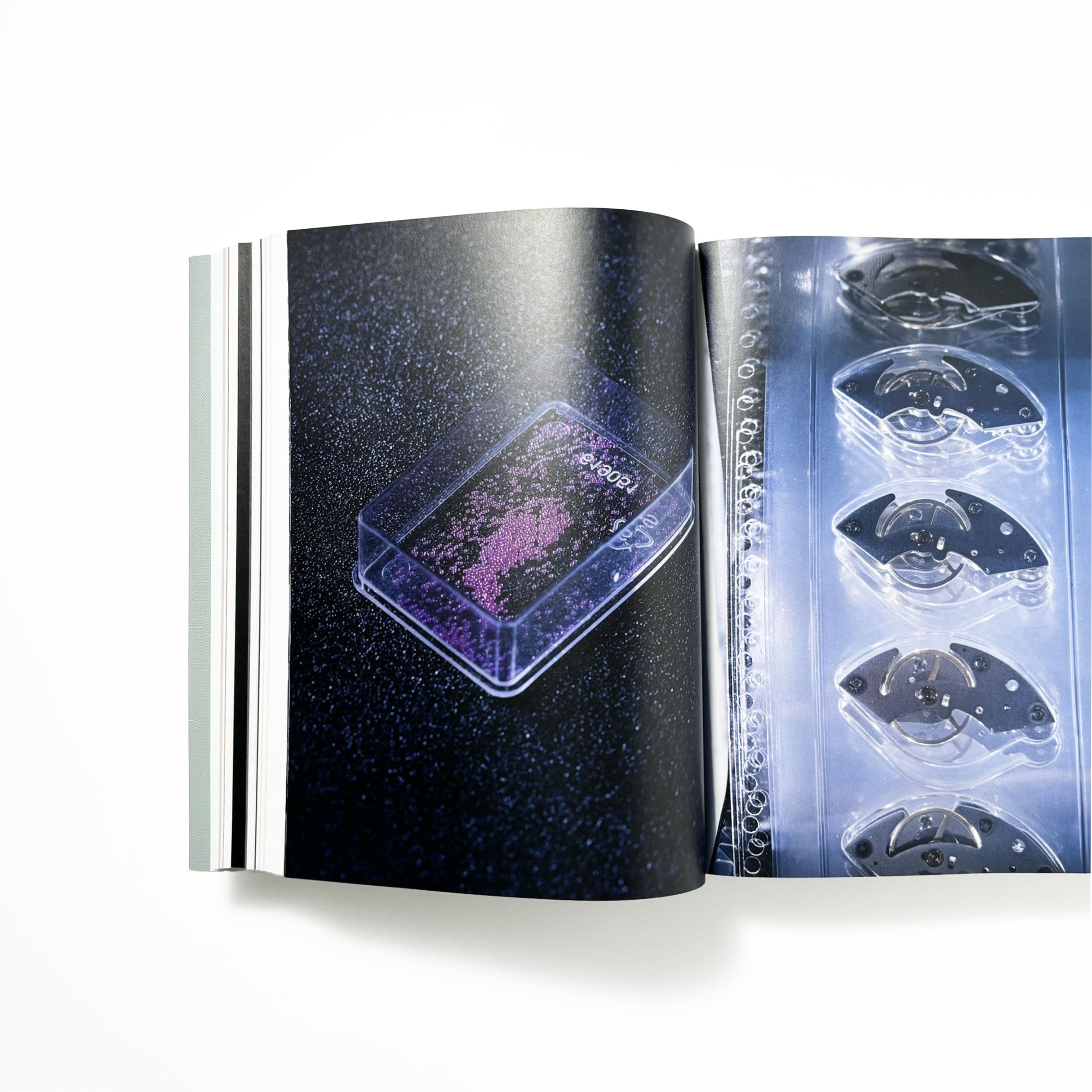 U-JOINTS／Andrea Caputo,Anniina Koivu