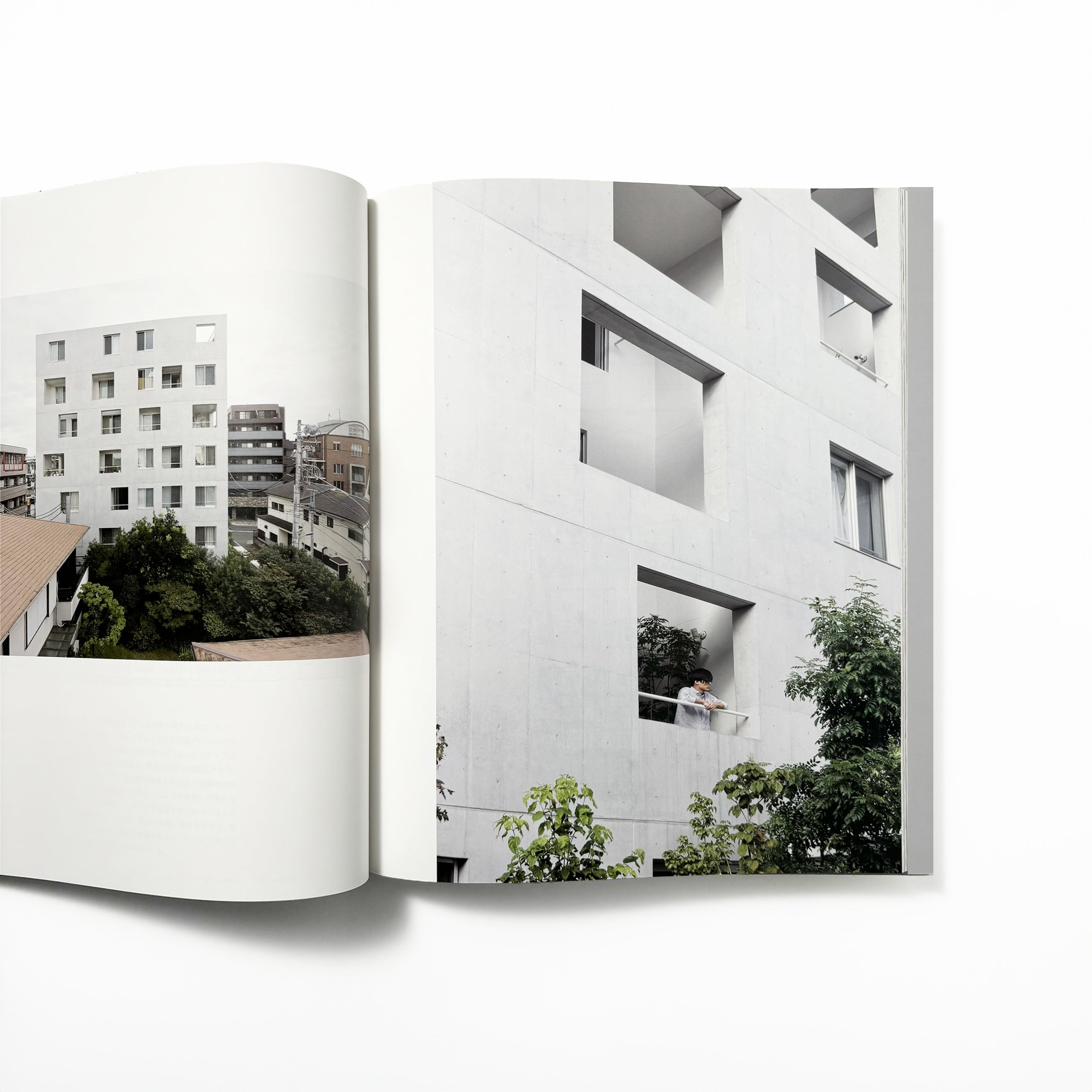 GO HASEGAWA 2005-2017 建築作品集 Go Hasegawa Works／長谷川豪 – tuii books