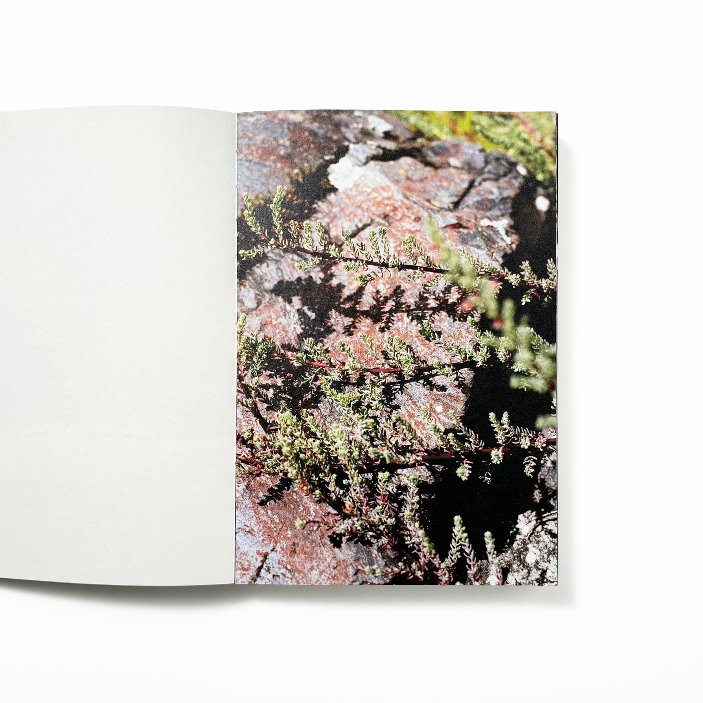 半枝浪 SKINNY WAVE same paper／林志鹏 – tuii books
