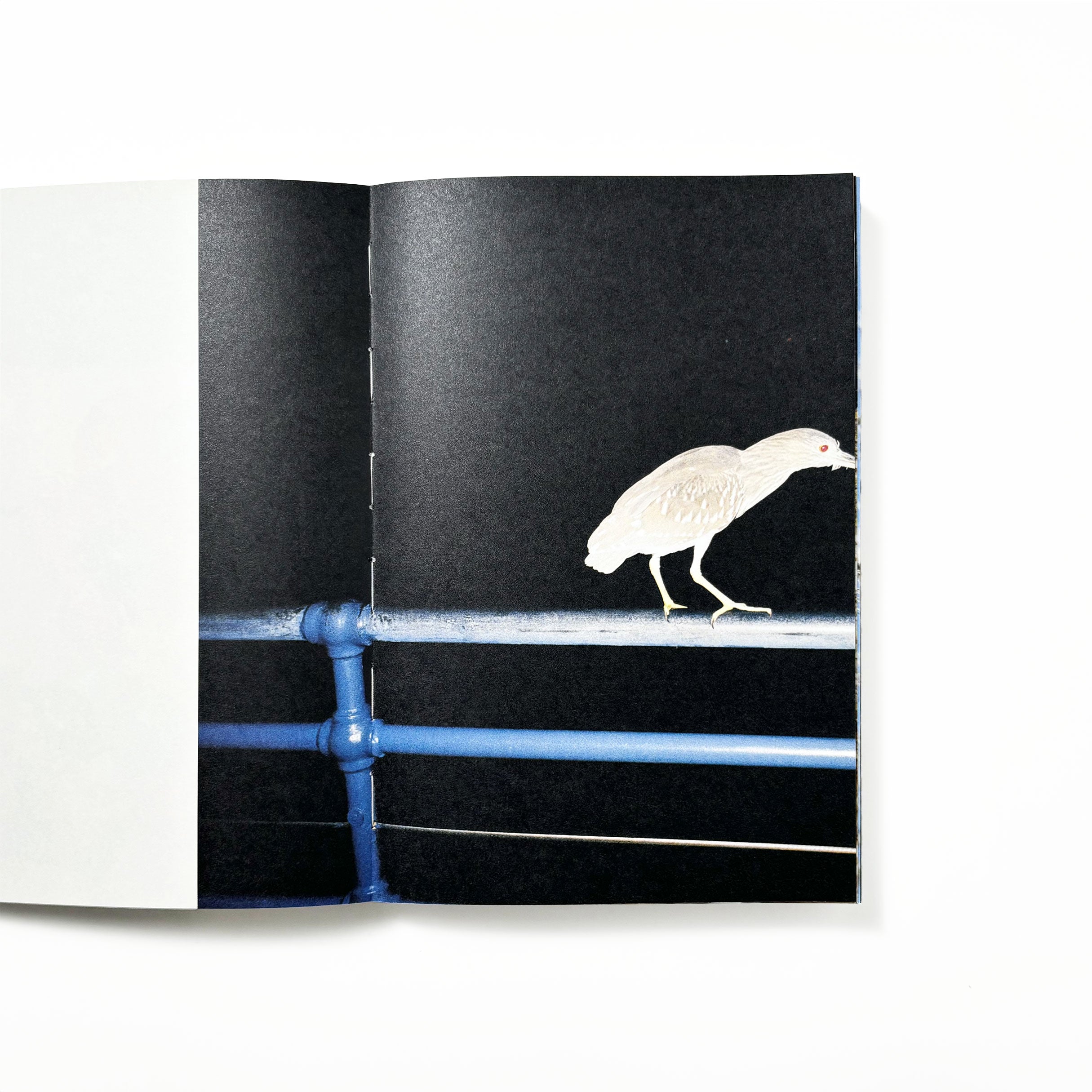 半枝浪 SKINNY WAVE same paper／林志鹏 – tuii books