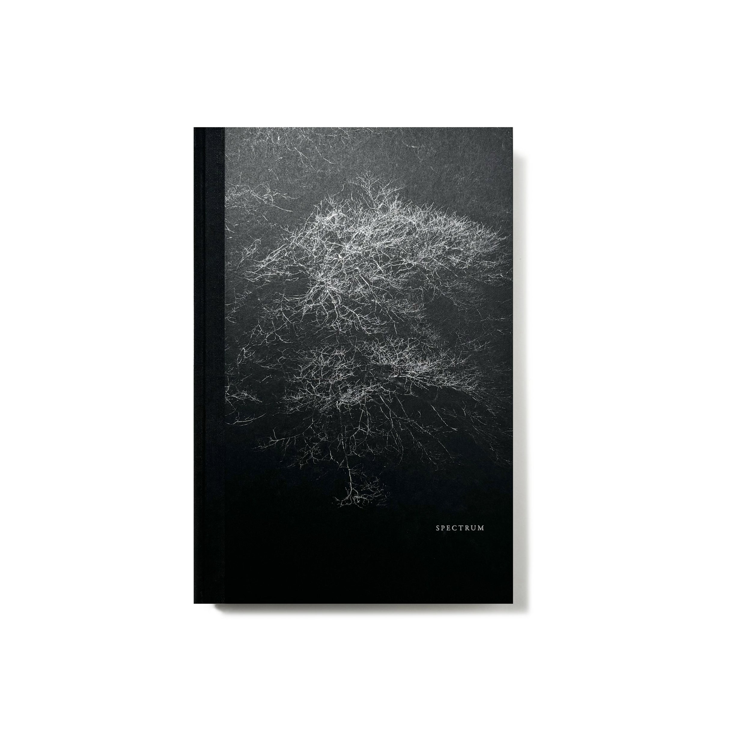 山上新平　Helix Helix／Shimpei Yamagami – tuii books