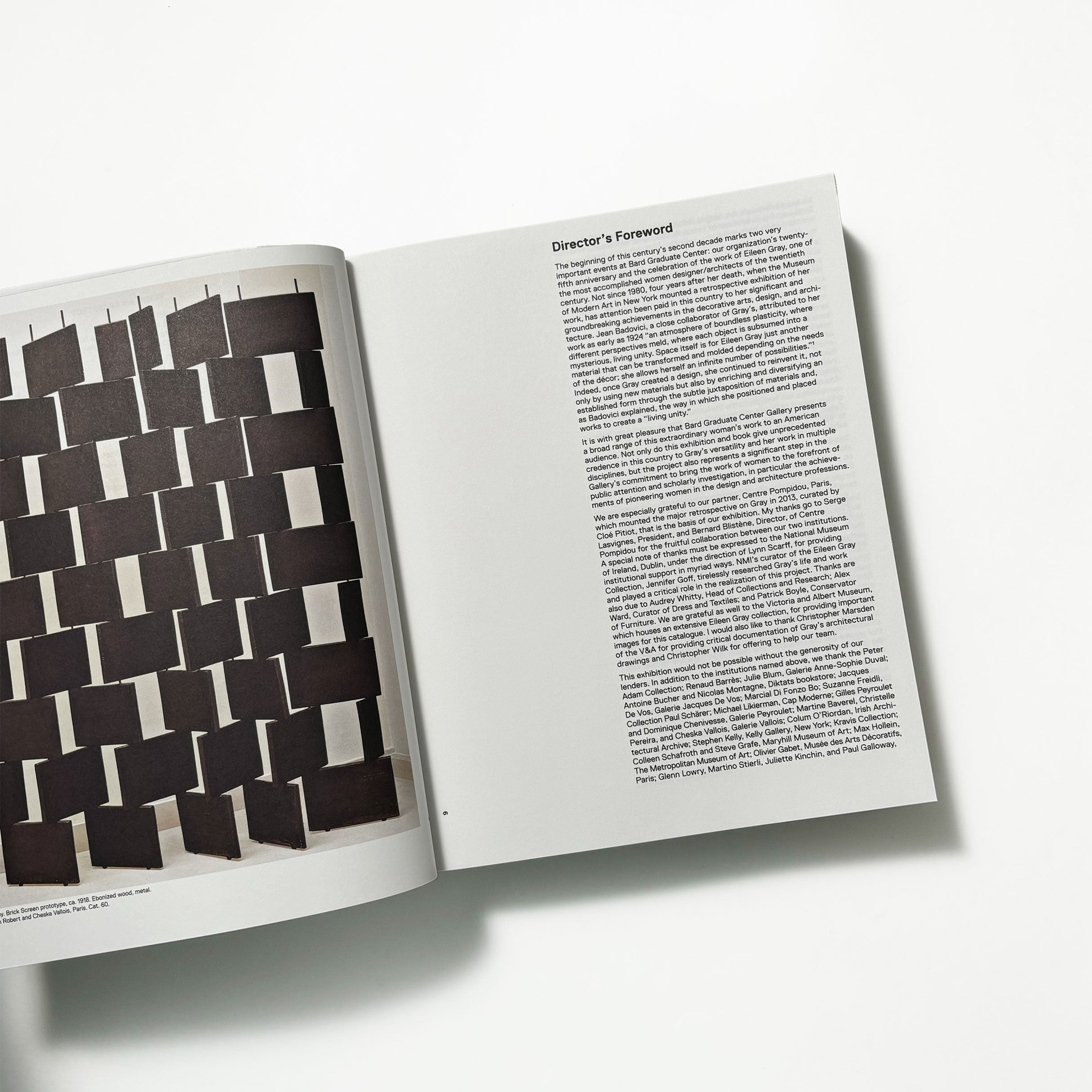 EILEEN GRAY, DESIGNER AND ARCHITECT／Eileen Gray – tuii books